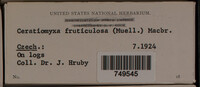 Image Associated With the Occurence